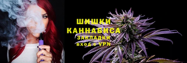 индика Волоколамск