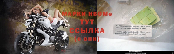 индика Волоколамск