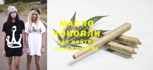 индика Волоколамск