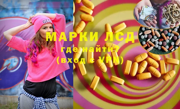 индика Волоколамск