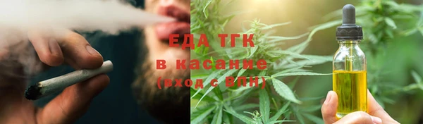 индика Волоколамск
