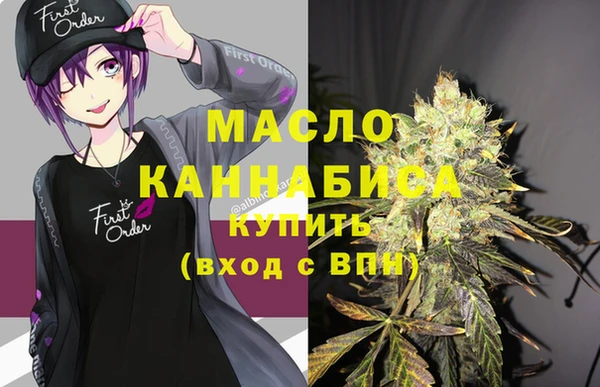индика Волоколамск