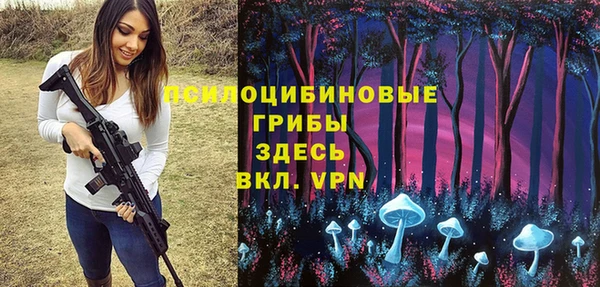 индика Волоколамск