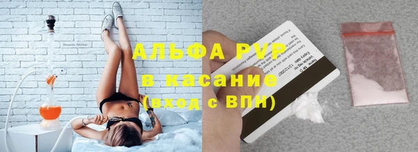 индика Волоколамск