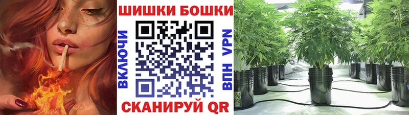 Бошки марихуана планчик  Купить где  Павловский Посад 